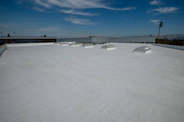 Best Roof Moss and Algae Removal  in Goodland, KS